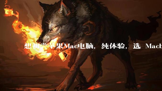 想初尝苹果Mac电脑，纯体验，选 Macbook air 还是 pro？